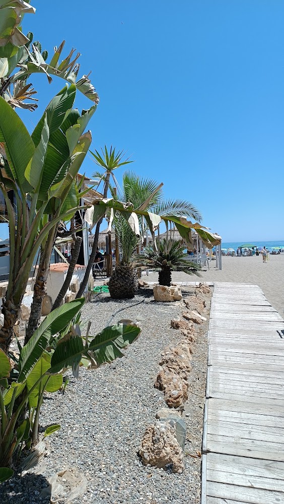Playa de los Álamos