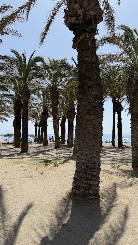 Playa de los Álamos