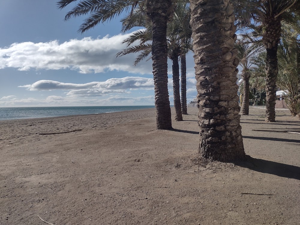 Playa de los Álamos