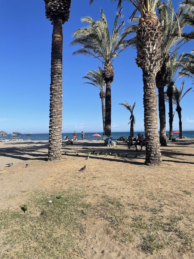Playamar
