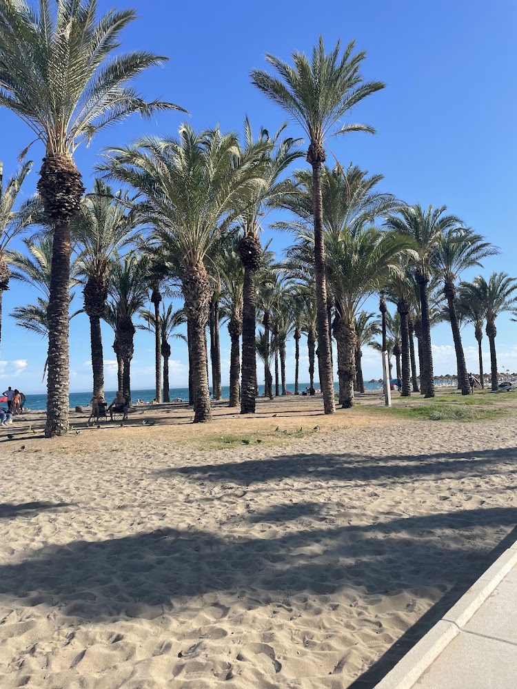 Playamar