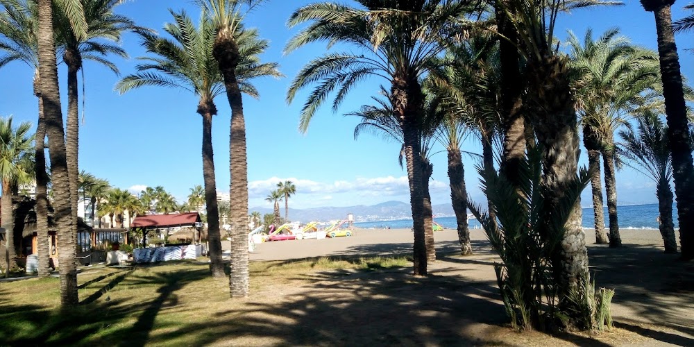 Playa del Lido