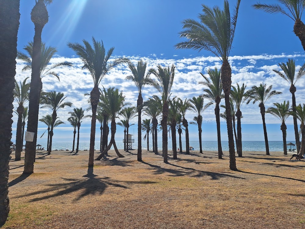 Playa del Lido