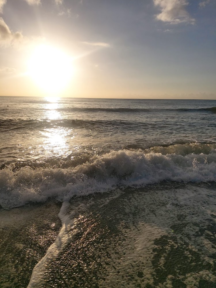 Playa del Lido