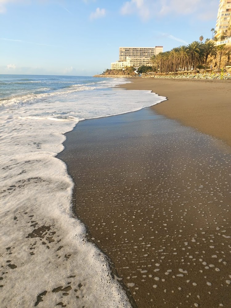 Playa del Lido
