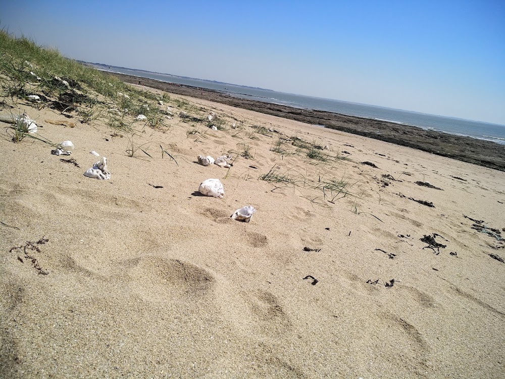 Plage de Damgan