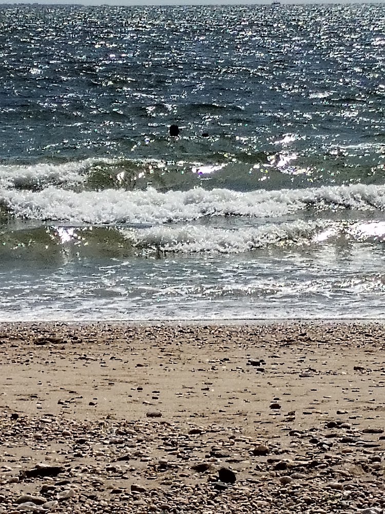 Grande Plage Damgan