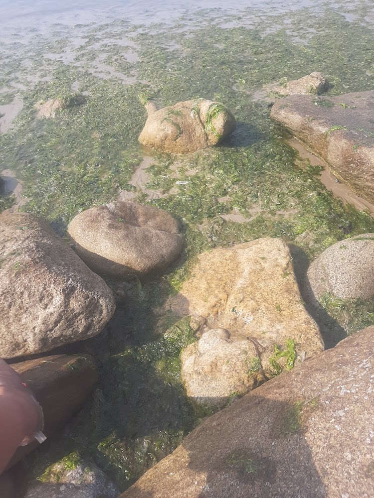 Plage du Ris