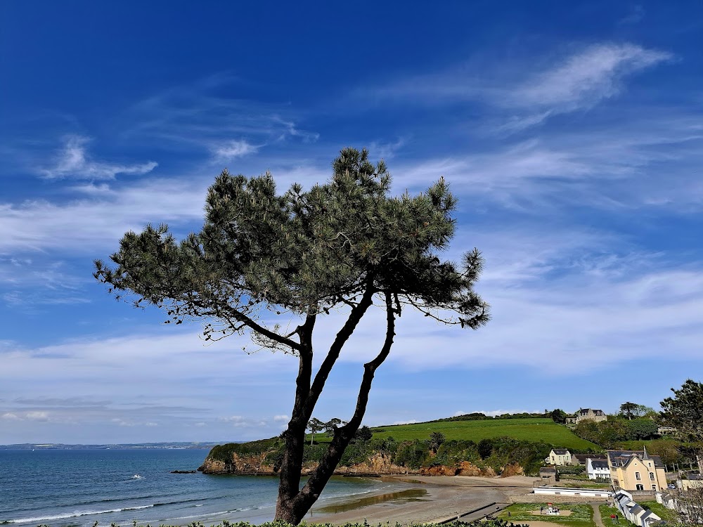 Plage du Ris