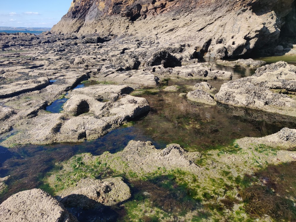 Plage du Ris