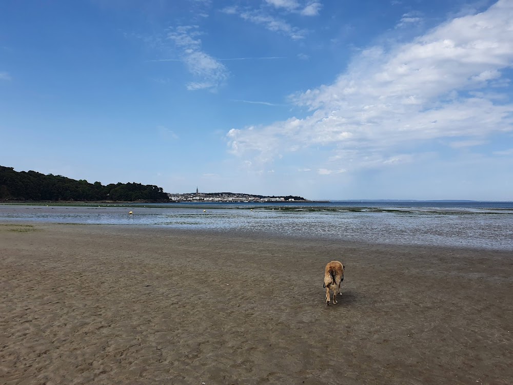 Plage du Ris