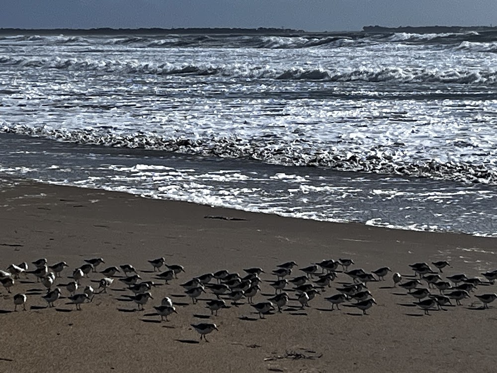 Plage de Kerhillio