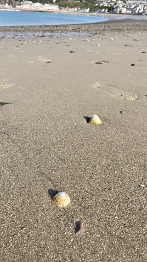 Plage d'Erquy