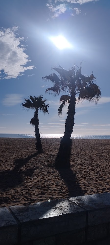 Plage de Valras