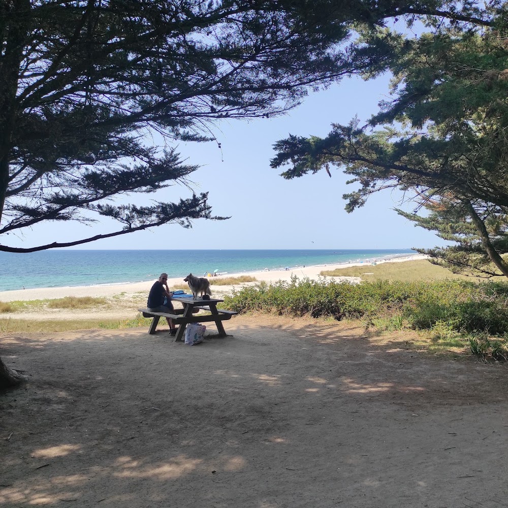Plage des dunes