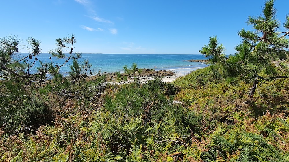 Plage des dunes