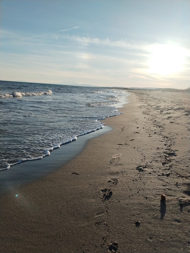 Plage des Cabanes de Fleury