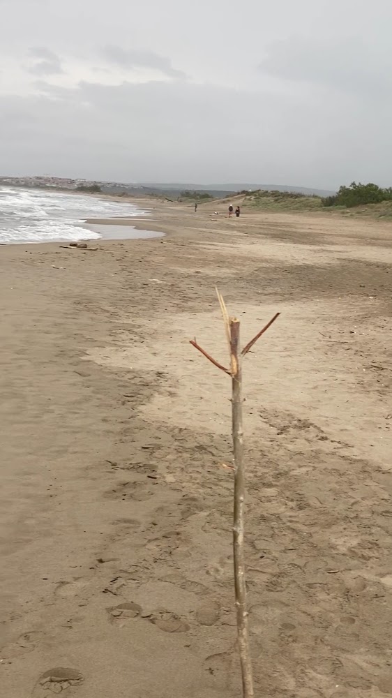 Plage des Cabanes de Fleury