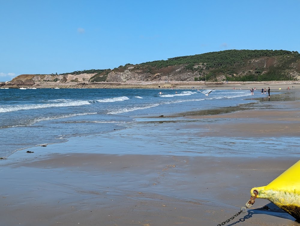 Grève du Minieu (plage de Sables-d'Or-les-Pins)