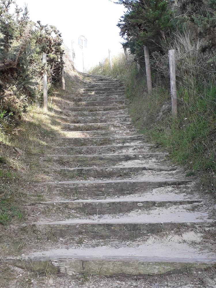 Grève du Minieu (plage de Sables-d'Or-les-Pins)