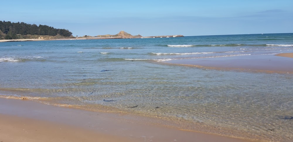 Grève du Minieu (plage de Sables-d'Or-les-Pins)