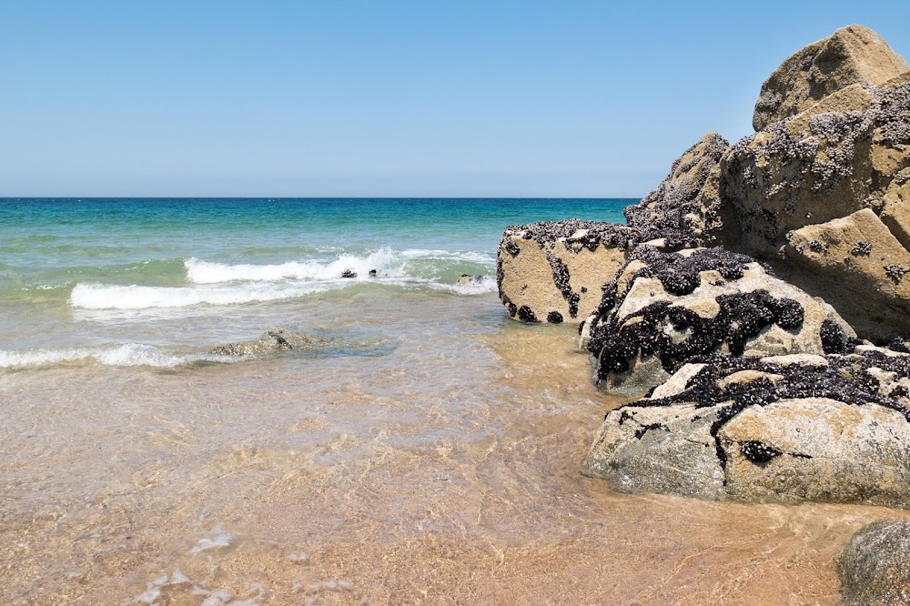 Plage les Grèves d'en bas