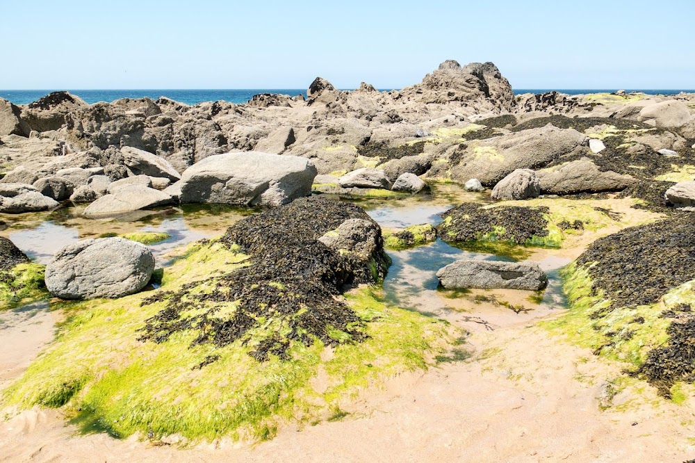 Plage les Grèves d'en bas