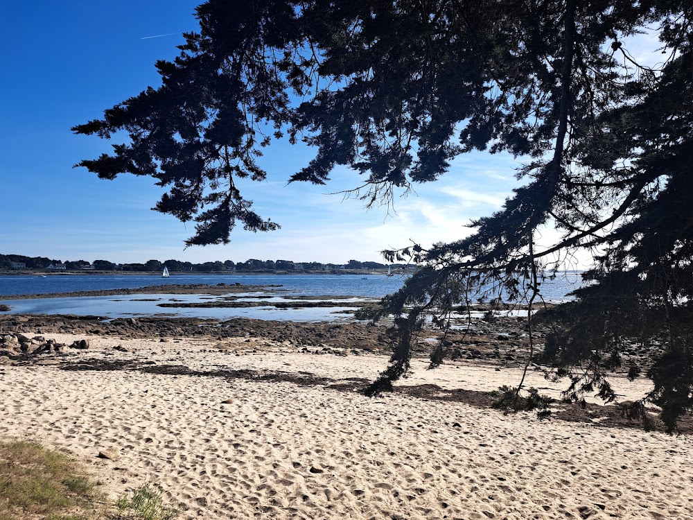 Camping de la Plage à la Trinité sur Mer