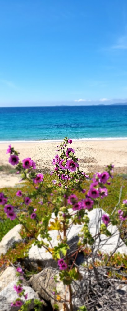Plage d'Agosta