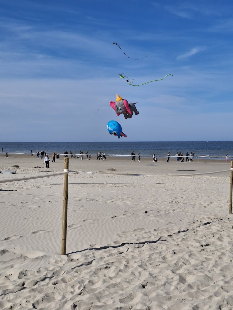 Plage de Berck