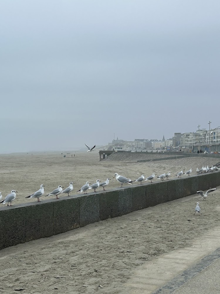 Plage de Berck