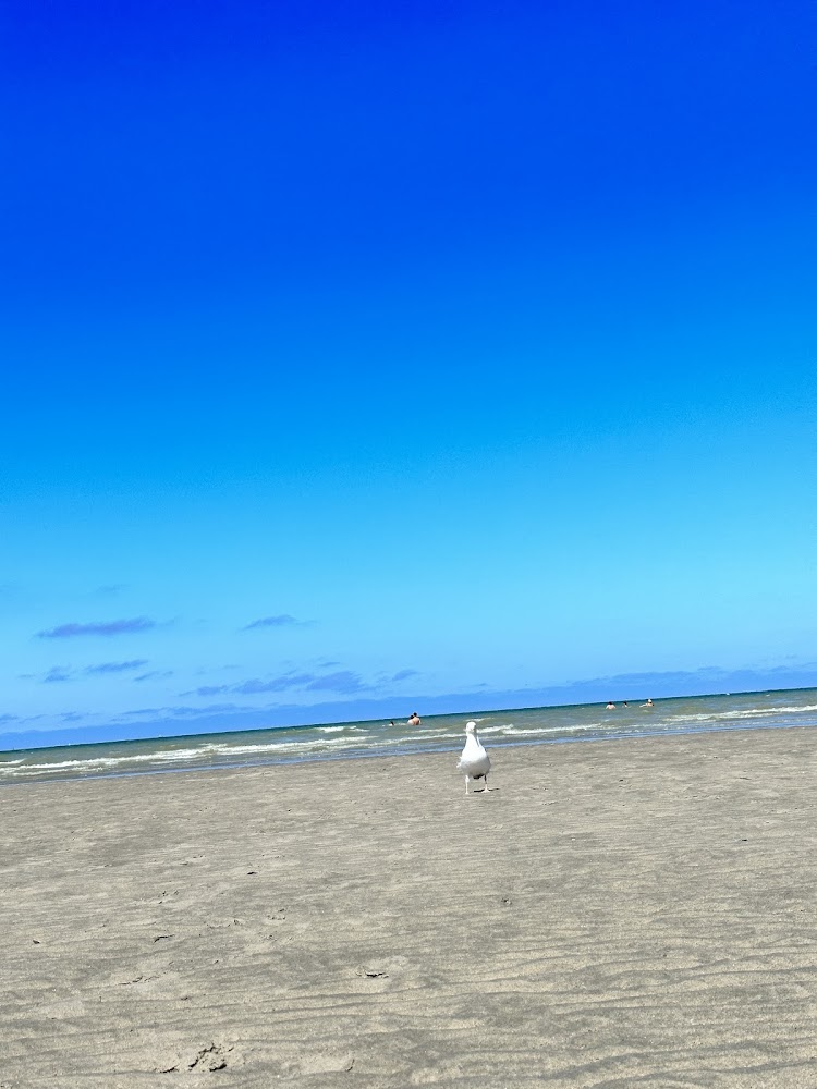 Plage de Malo-les-Bains