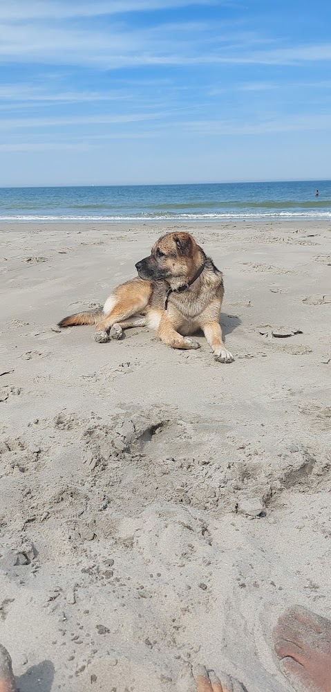 Plage du Braek