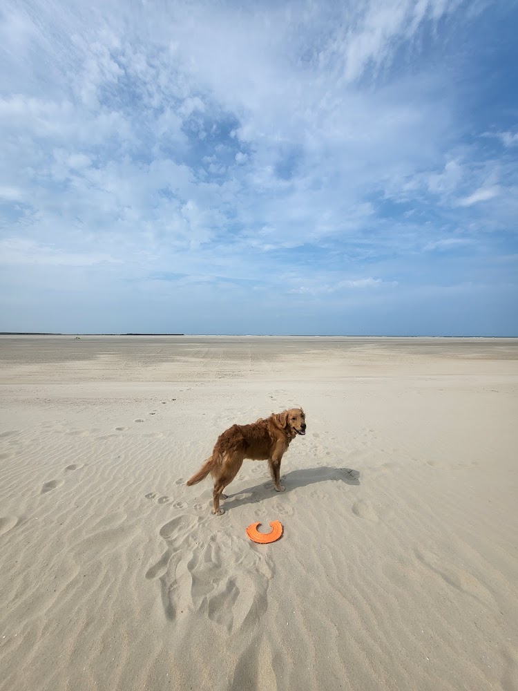 Plage de Gravelines
