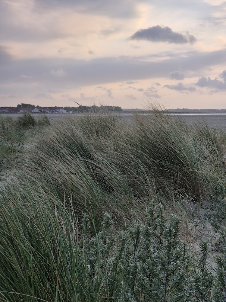 Plage de Gravelines