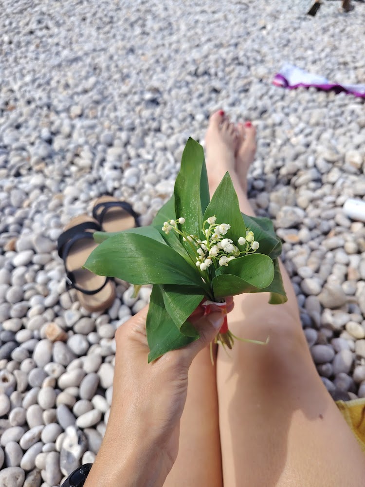 Plage d’Étretat
