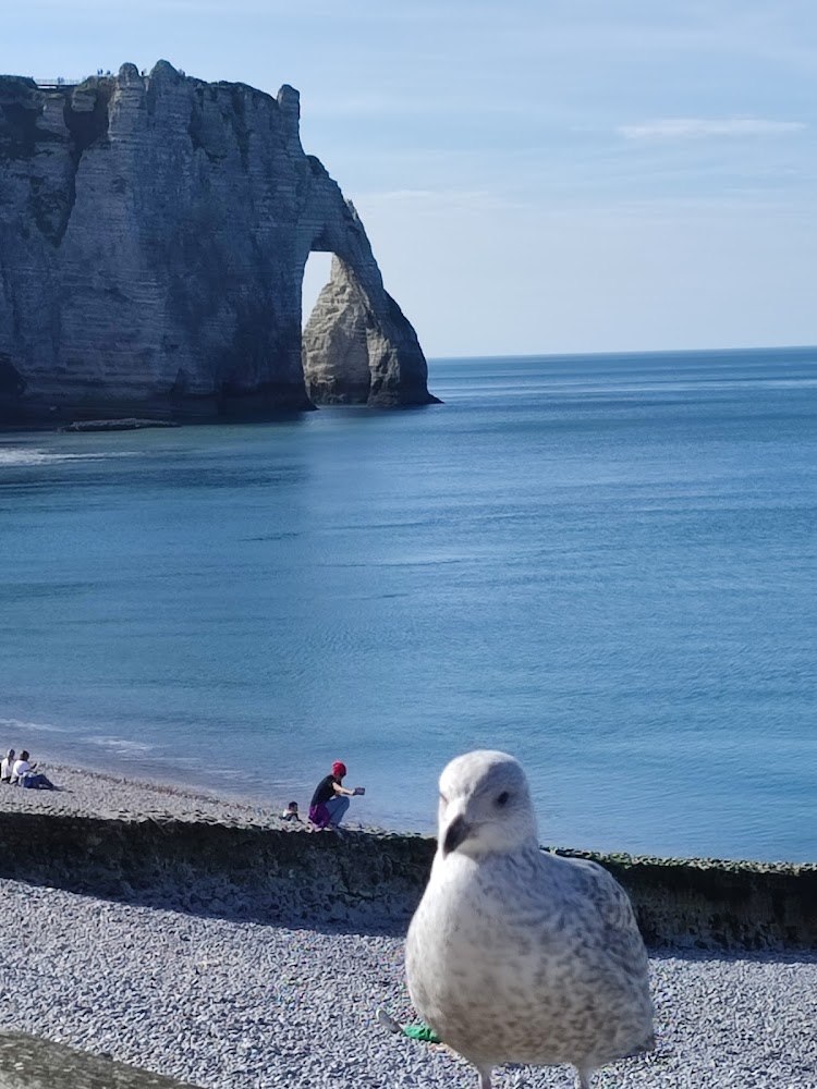 Plage d’Étretat