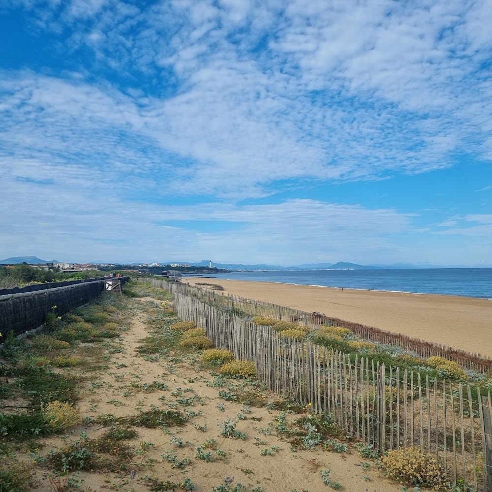 Plage de l'Océan