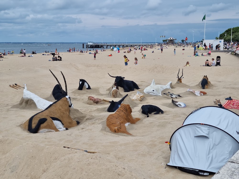 Plage d'Arcachon