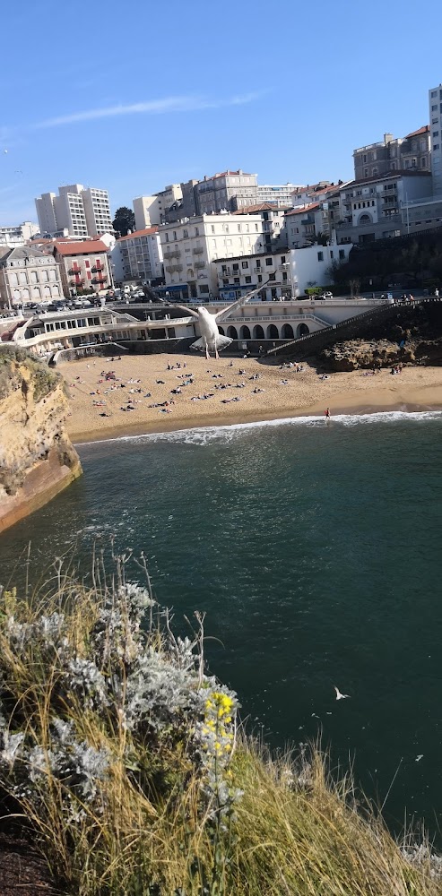 Plage du Port Vieux