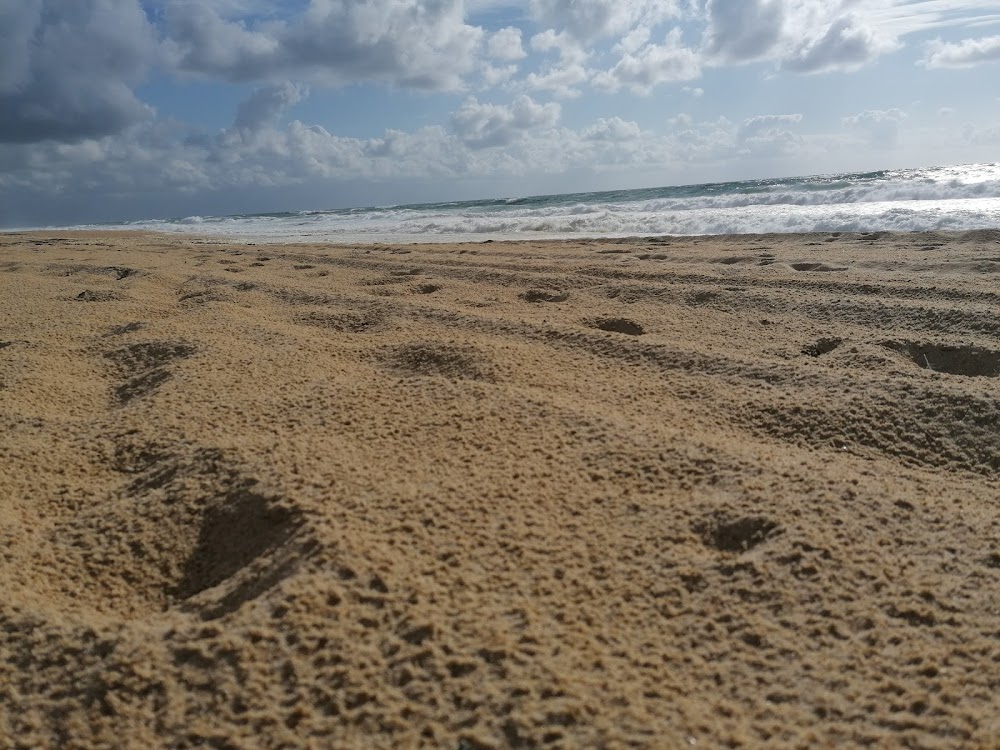 Plage des Océanides