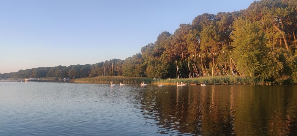 Plage de la Grande Escoure