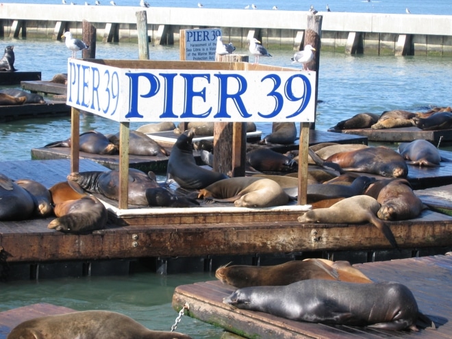 Pier 39 San Francisco