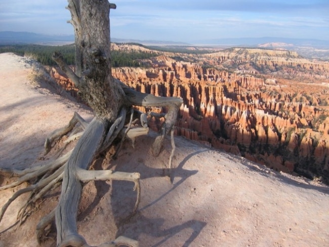 bryce canyon vue utah 