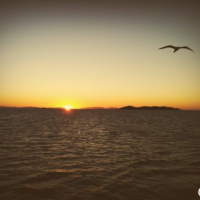 sunset airlie beach australie