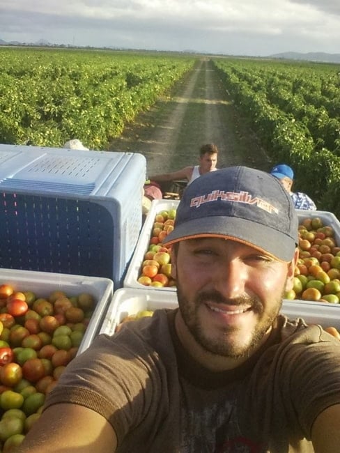 Bowen picking Australie