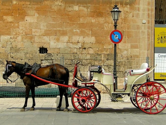 caleche-rouge-de-Palma