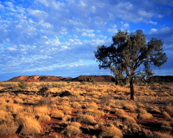 Meilleurs spots Queensland en Australie