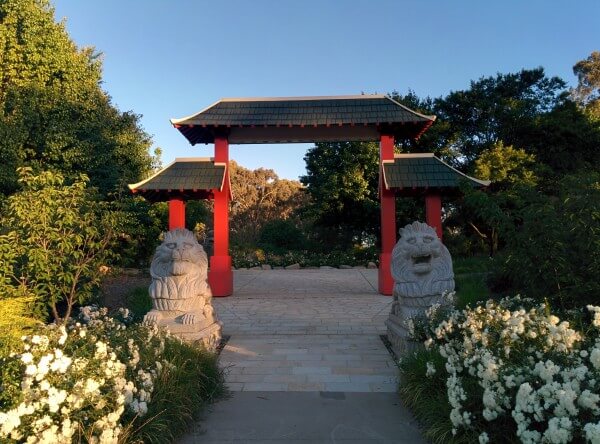 Jardin Japonais Young