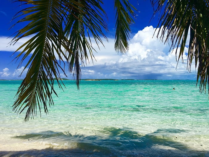 plage sable blanc cocotier croisière aux bahamas min